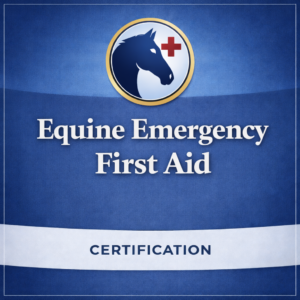 Equine Emergency First Aid Certification Course On-Demand