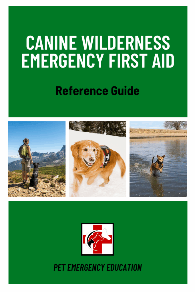 Canine Wilderness Emergency First Aid On-Demand – Animal Care and ...