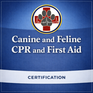 Canine and Feline CPR and First Aid Certification Course