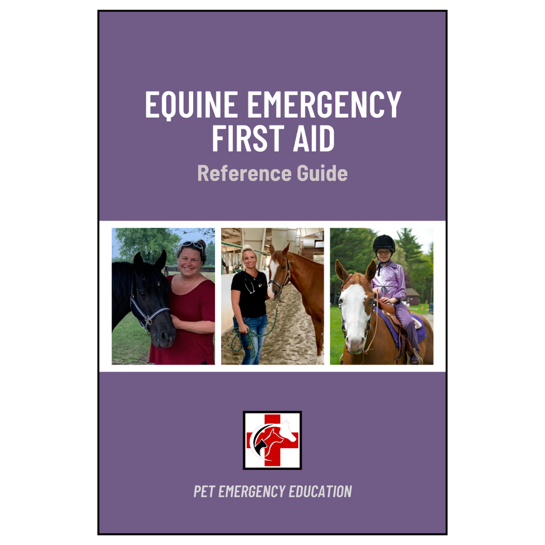 Equine Emergency First Aid Reference Guide