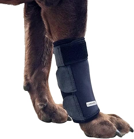 Dog Front Leg Brace - Compression Wrap with Adjustable Straps