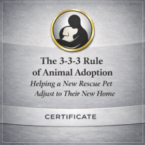 The 3-3-3 Rule of Animal Adoption: Helping a New Rescue Pet Adjust to Their New Home