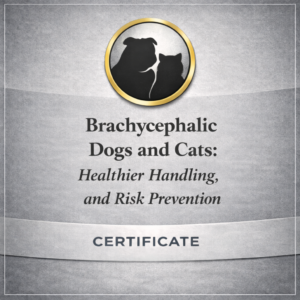 Brachycephalic Dogs and Cats: Healthier, Handling, and Risk Prevention
